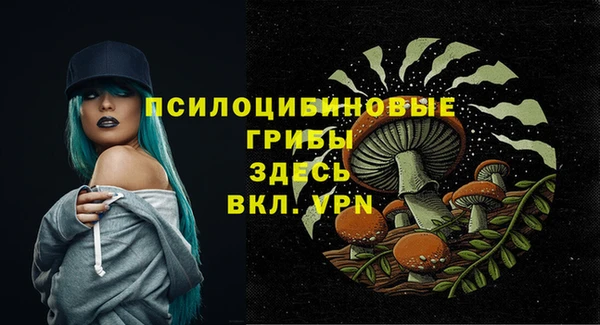 молекула духа Алзамай