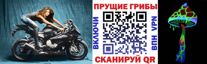 Псилоцибиновые грибы GOLDEN TEACHER Красный Кут