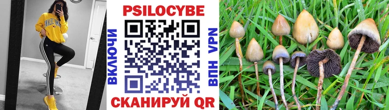 Псилоцибиновые грибы Psilocybine cubensis  Красный Кут 