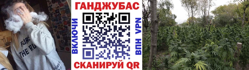 маркетплейс Telegram  МЕГА вход  Красный Кут  Шишки марихуана гибрид 